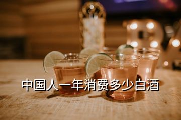 中國人一年消費(fèi)多少白酒