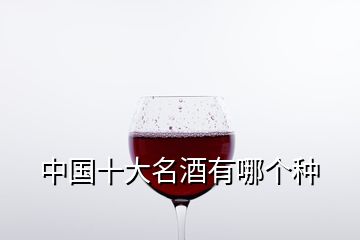 中國十大名酒有哪個種