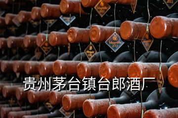 貴州茅臺(tái)鎮(zhèn)臺(tái)郎酒廠
