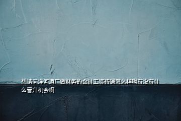 想請問洋河酒廠做財務的會計工資待遇怎么樣啊有沒有什么晉升機會啊