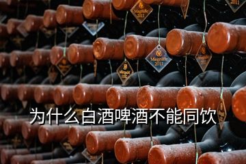 為什么白酒啤酒不能同飲