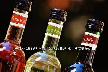 麻辣蝦尾沒(méi)有啤酒用什么代替白酒可以嗎需要多少白酒