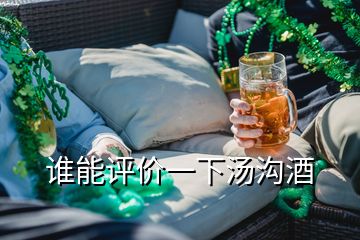 誰能評價(jià)一下湯溝酒