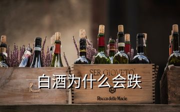白酒為什么會跌