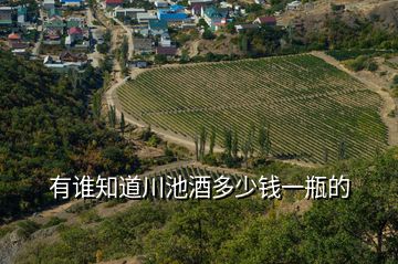 有誰(shuí)知道川池酒多少錢一瓶的