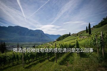 喝酒感覺(jué)喉嚨有燒的感覺(jué)請(qǐng)問(wèn)是怎么回事
