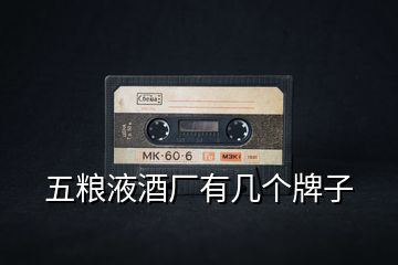 五糧液酒廠有幾個(gè)牌子