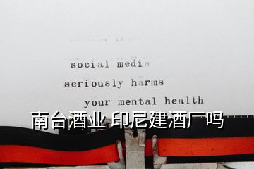 南臺(tái)酒業(yè) 印尼建酒廠嗎