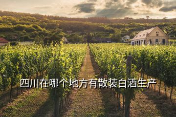 四川在哪個地方有散裝白酒生產