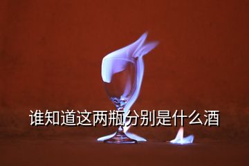 誰知道這兩瓶分別是什么酒