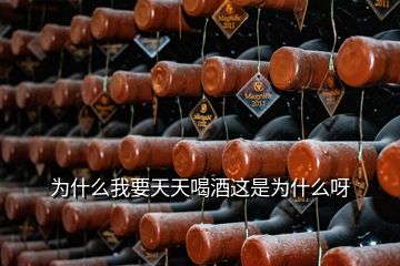 為什么我要天天喝酒這是為什么呀