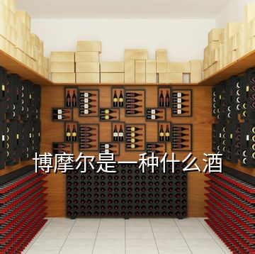 博摩爾是一種什么酒