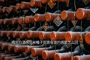 喝完白酒感覺(jué)從嗓子到胃有燒灼感是怎么回