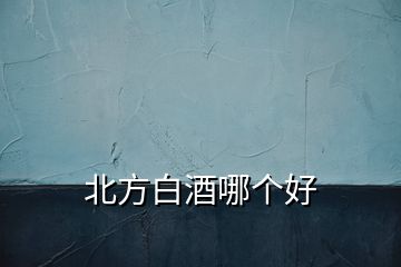 北方白酒哪個(gè)好