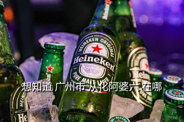 想知道 廣州市 從化阿婆六 在哪