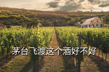 茅臺飛渡這個酒好不好