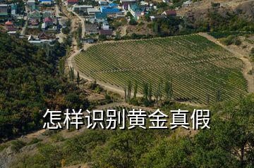 怎樣識別黃金真假