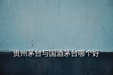 貴州茅臺與國酒茅臺哪個好