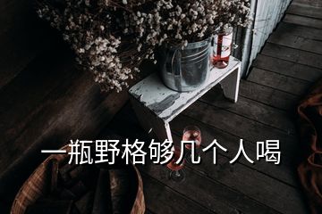 一瓶野格夠幾個(gè)人喝