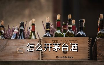 怎么開(kāi)茅臺(tái)酒