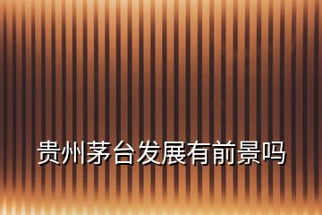 貴州茅臺(tái)發(fā)展有前景嗎
