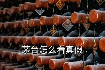 茅臺(tái)怎么看真假