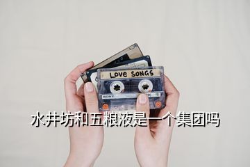 水井坊和五糧液是一個(gè)集團(tuán)嗎