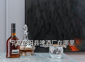 寧夏彭陽縣啤酒廠在哪里
