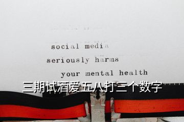 三期試酒愛五八打三個數(shù)字