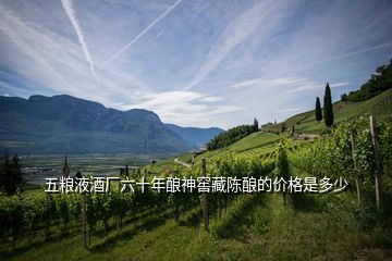 五糧液酒廠六十年釀神窖藏陳釀的價格是多少