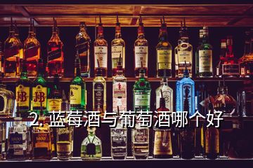 2. 藍(lán)莓酒與葡萄酒哪個好