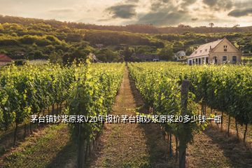 茅臺(tái)鎮(zhèn)妙漿原漿V20年報(bào)價(jià)茅臺(tái)鎮(zhèn)妙漿原漿20多少錢(qián)一瓶
