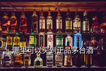 哪里可以買到正品茅臺酒