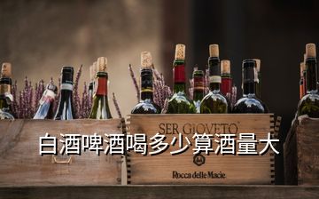白酒啤酒喝多少算酒量大