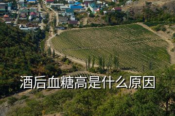 酒后血糖高是什么原因