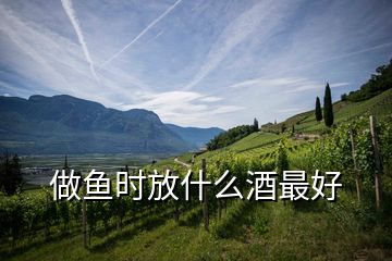 做魚時(shí)放什么酒最好
