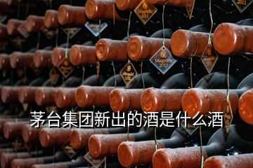 茅臺集團新出的酒是什么酒