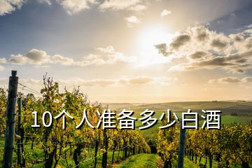 10個(gè)人準(zhǔn)備多少白酒