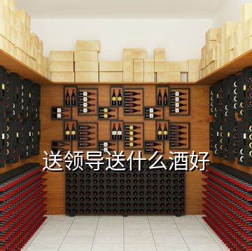 送領(lǐng)導(dǎo)送什么酒好