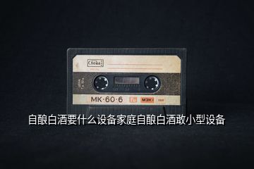 自釀白酒要什么設備家庭自釀白酒敢小型設備