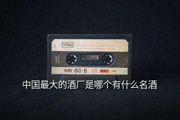 中國最大的酒廠是哪個有什么名酒