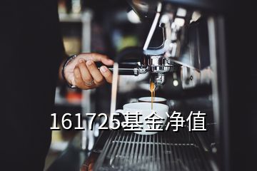 161725基金凈值