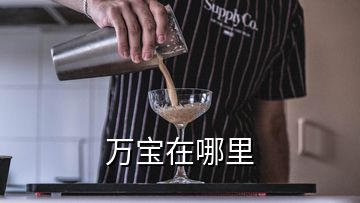 萬(wàn)寶在哪里