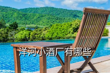 洋河小酒廠有哪些