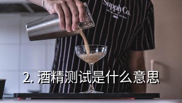 2. 酒精測(cè)試是什么意思