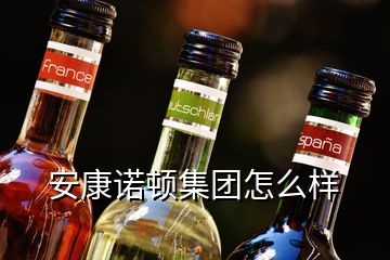 安康諾頓集團怎么樣