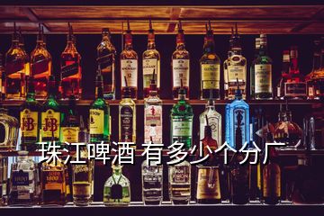 珠江啤酒 有多少個分廠