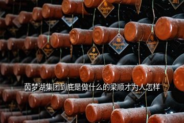 茵夢湖集團到底是做什么的梁順才為人怎樣