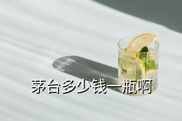 茅臺多少錢一瓶啊