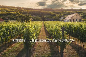 泡菜時(shí)放了一點(diǎn)白酒封層高溫炒過(guò)后孕婦可以吃嗎